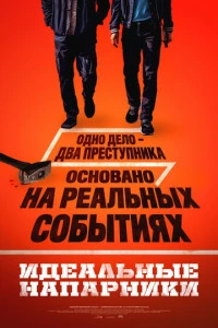 Фильм Идеальные напарники 2026